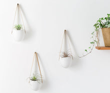 Load image into Gallery viewer, 3 Pack Ceramic Hanging Planters Succulent Air Plant Flower Pot Wall Decor İnclude 3 Hooks
