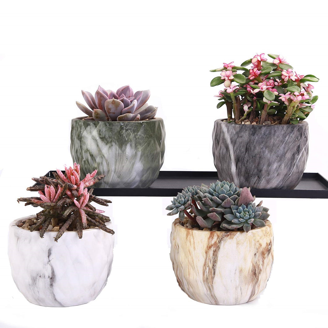 4 Pack Ceramic Flower Pot Succulent/Cactus Planter Pots Container Bonsai Planters